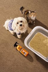 Odstraňovač zápachu kočičí toalety