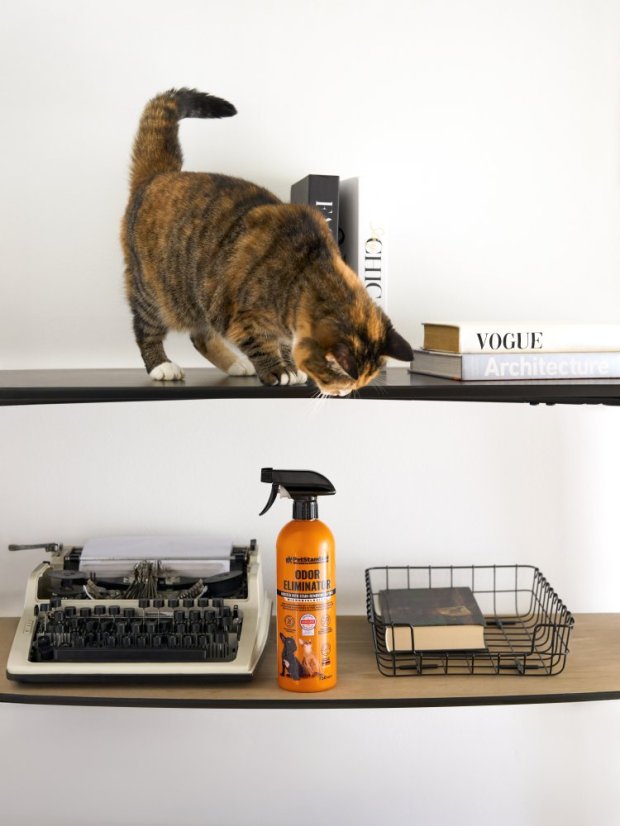 Odstraňovač zápachu kočičí toalety